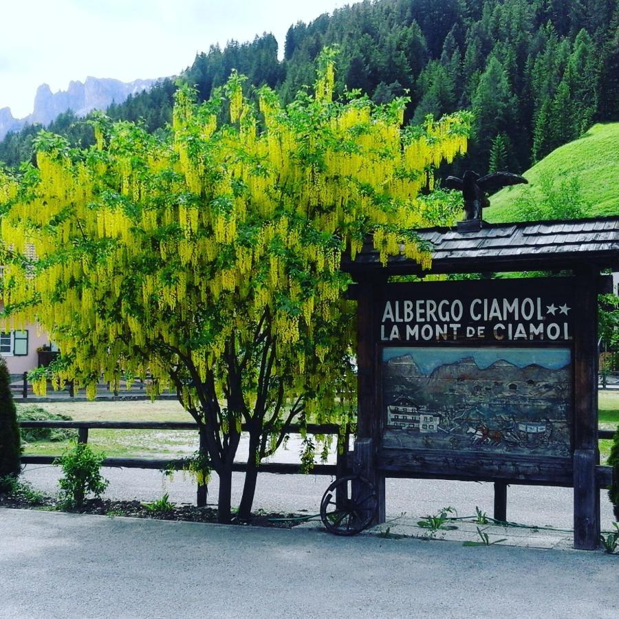 Hotel Ciamol Campitello di Fassa Ngoại thất bức ảnh