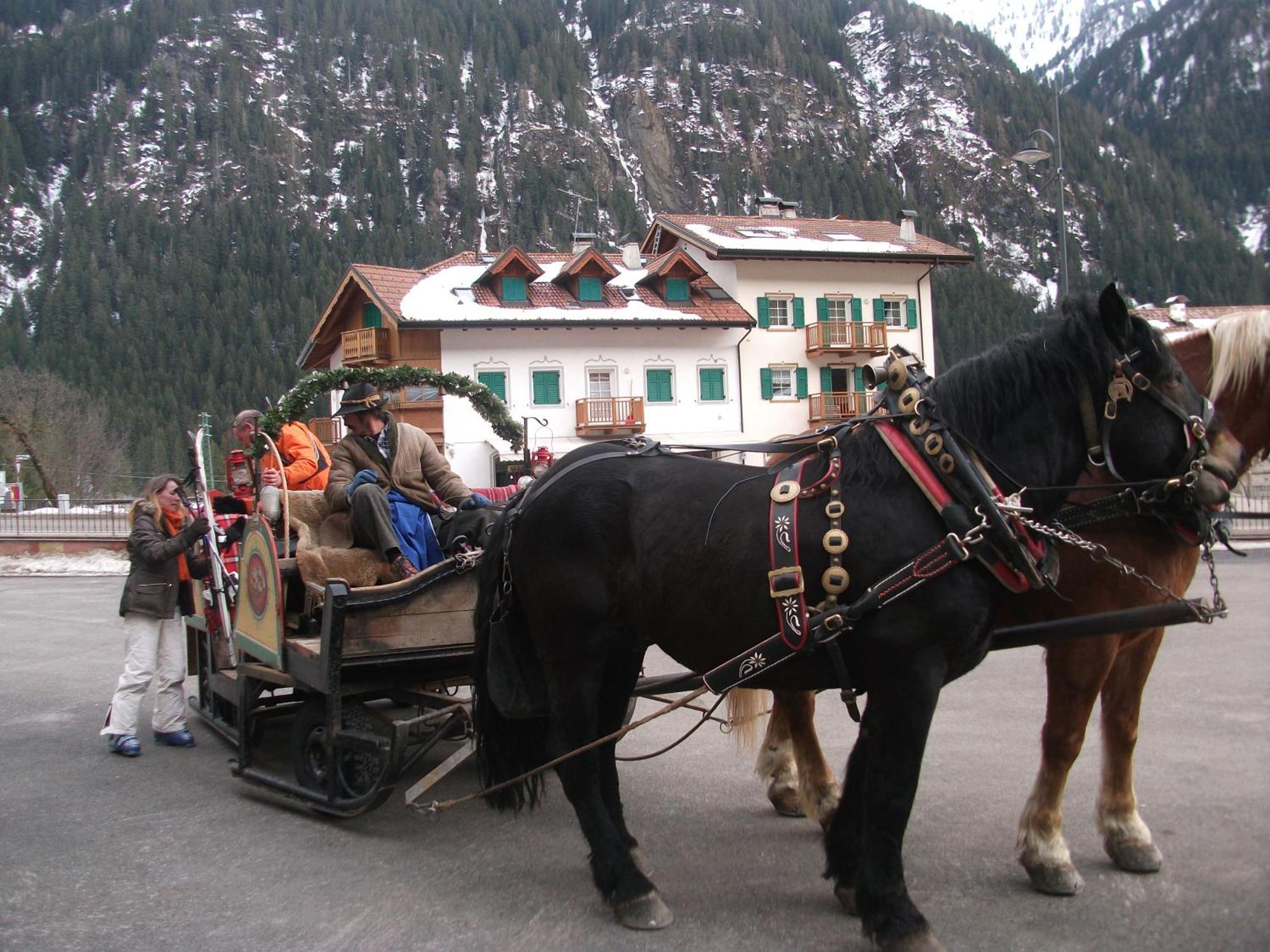 Hotel Ciamol Campitello di Fassa Ngoại thất bức ảnh